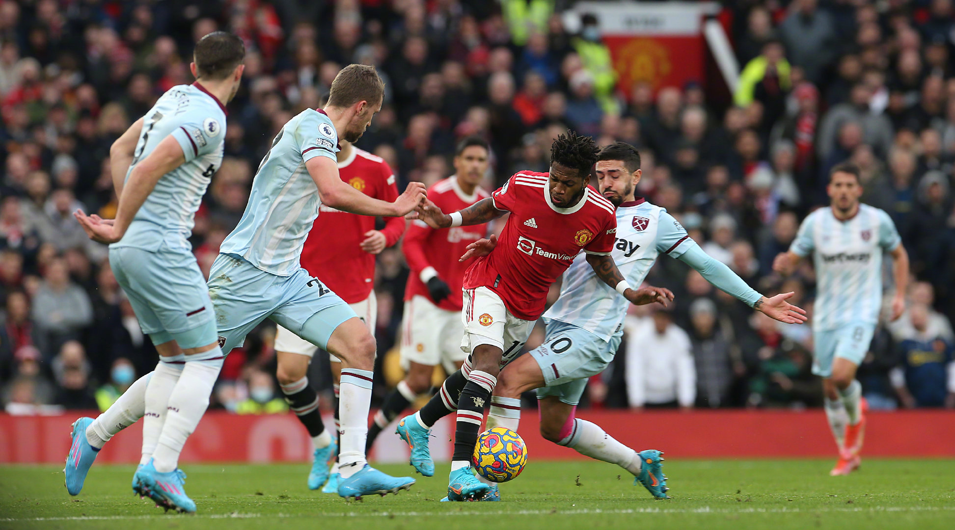 这片美丽的 这片美丽的